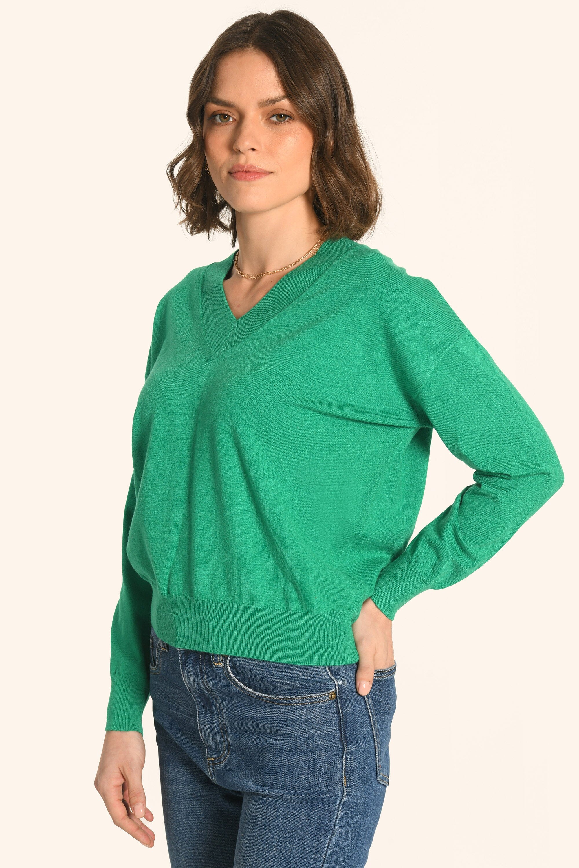 PULL COL V - PRAIRIE - AMELINA - Image 2